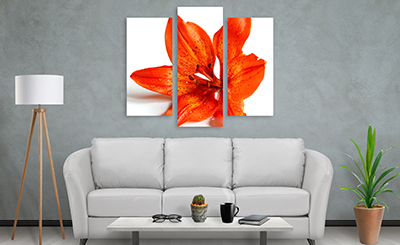 Interior Design (Canvas Printing)